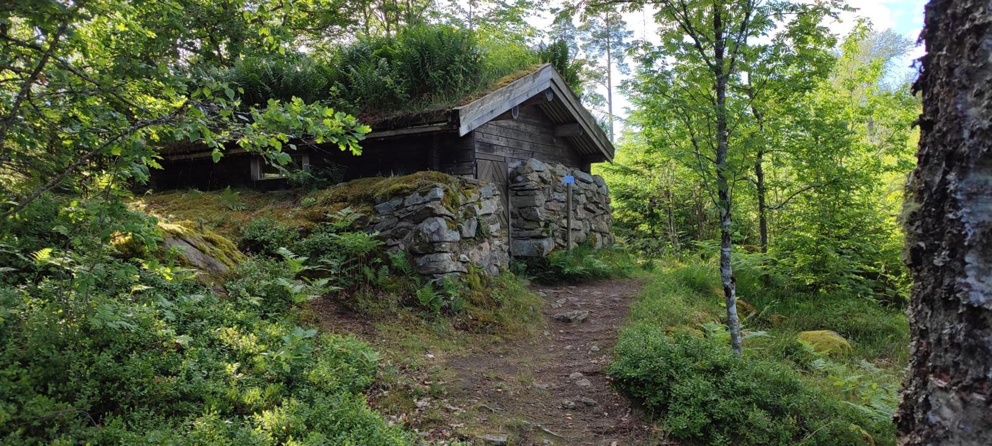 Boende I Malaskog, Near The Lake, Boat, Big Garden Ryssby Exterior foto